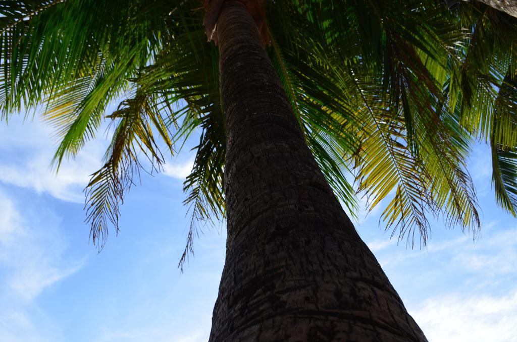 Blue Bamboo Hotel Balabag  Bagian luar foto