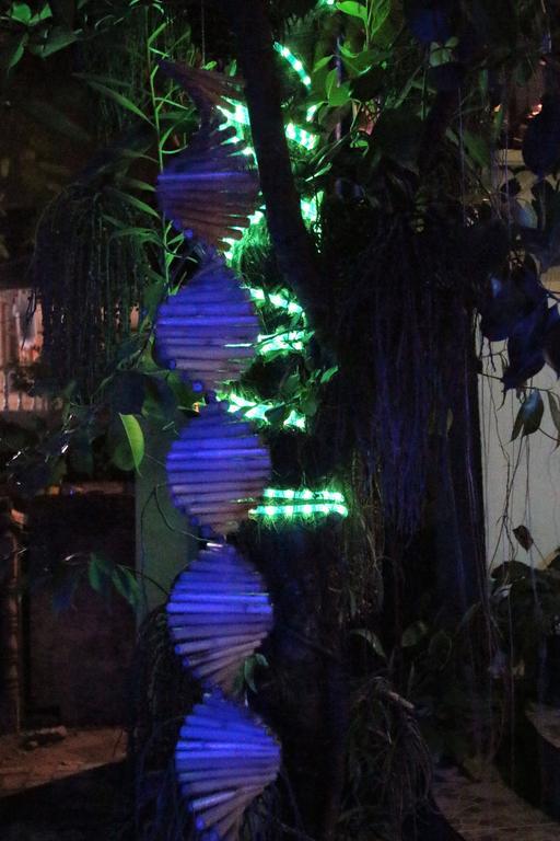 Blue Bamboo Hotel Balabag  Bagian luar foto