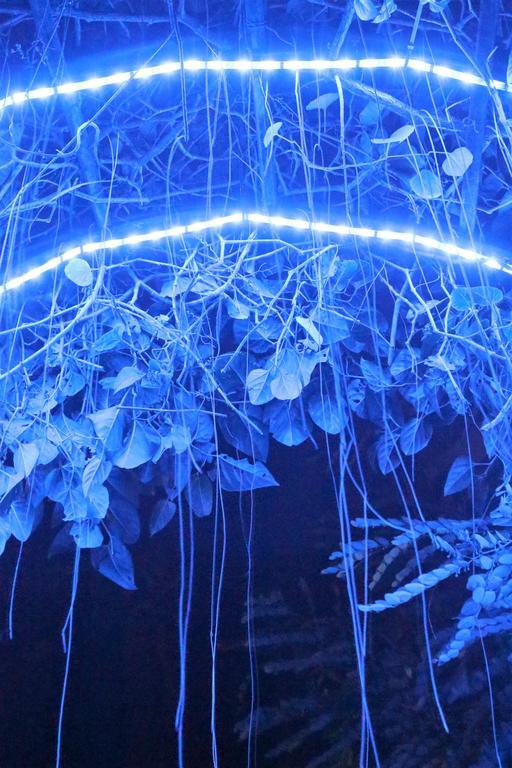 Blue Bamboo Hotel Balabag  Bagian luar foto